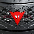 Ochraniacz DAINESE PRO-SPEED BACK L - 7