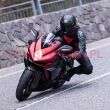 Kombinezon DAINESE LAGUNA SECA 5 2PCS LEATHER SUIT SHORT/TALL - 4